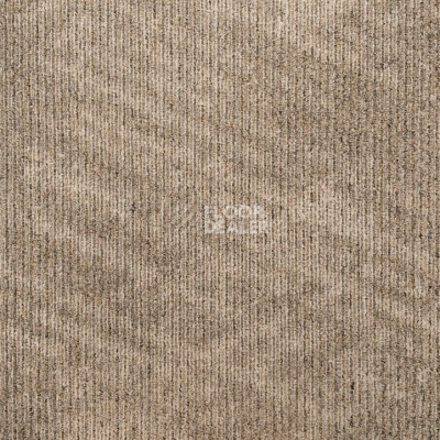 Ковровая плитка Art Exposure Коллекция Academic View Academic View 853 фото 1 | FLOORDEALER